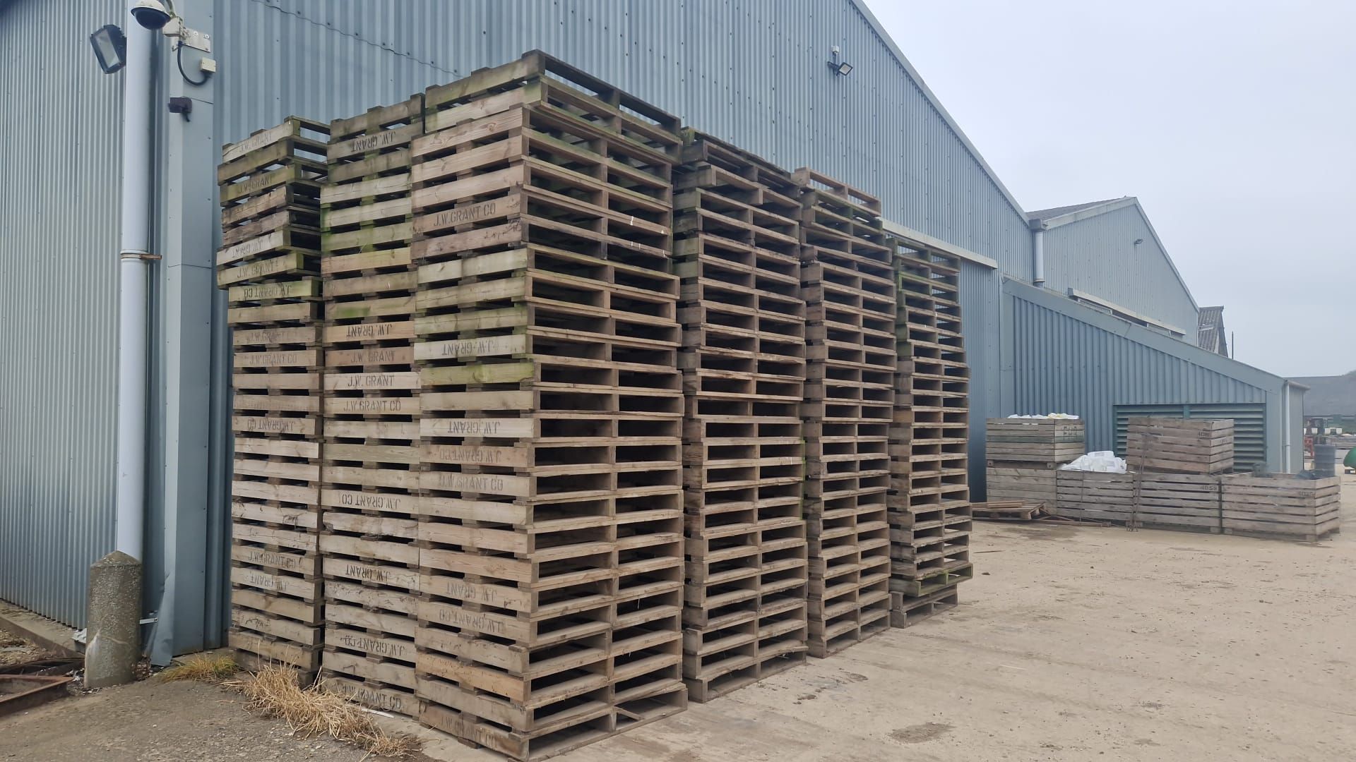 Qty of chitting tray pallets 4ft x 3ft