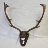 PAIR OF DEER ANTLERS