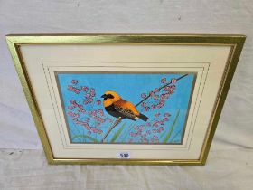 AMY TWINNING [1917-2015] FINE WATERCOLOUR OF A GRENADIER WEAVER BIRD PERCHED C ON QUAKING GRASS,