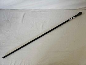 SILVER TOP WALKING CANE