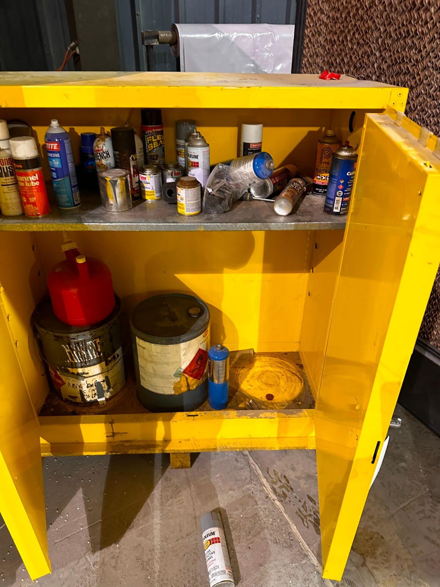 EAGLE FIRE CABINET - Image 2 of 4