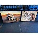 (2) LED LIGHT INTERCHANGEABLE PICTURE BOX FRAME 20"X50"
