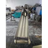 INCLINE CONVEYOR (MISSING BELT)