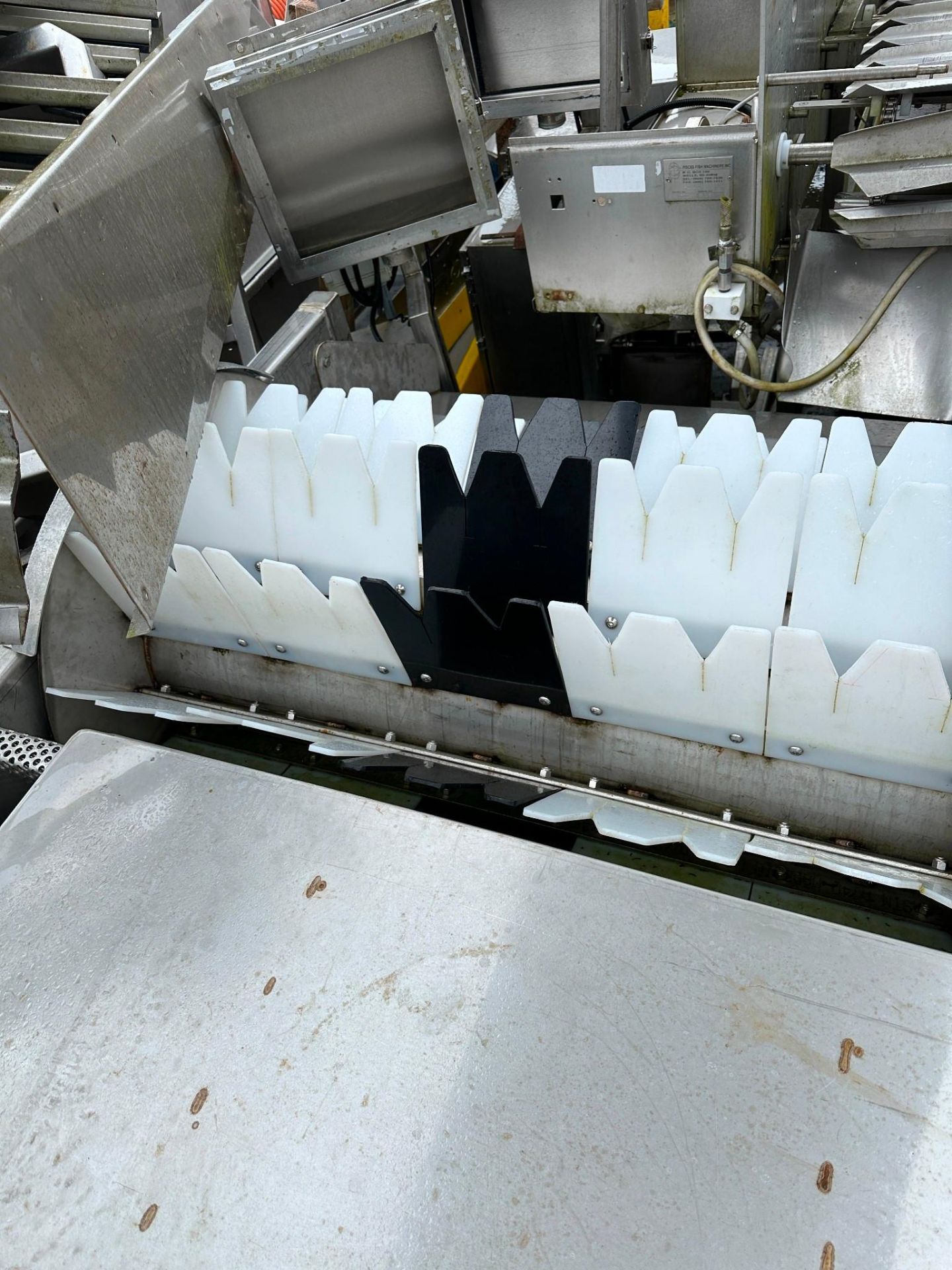 CUSTOM BUILT SEAFOOD/MEAT GLAZING MACHINE - Image 2 of 3