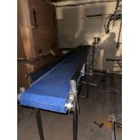 FOOD GRADE CONVEYOR