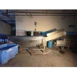 STAINLESS STEEL INCLINE CONVEYOR W/ HOPPER