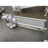 COASTLINE EQUIPMENT METAL CHAINED CONVEYOR