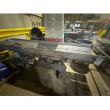 ISO-FLO VIBRATORY CONVEYOR 10’