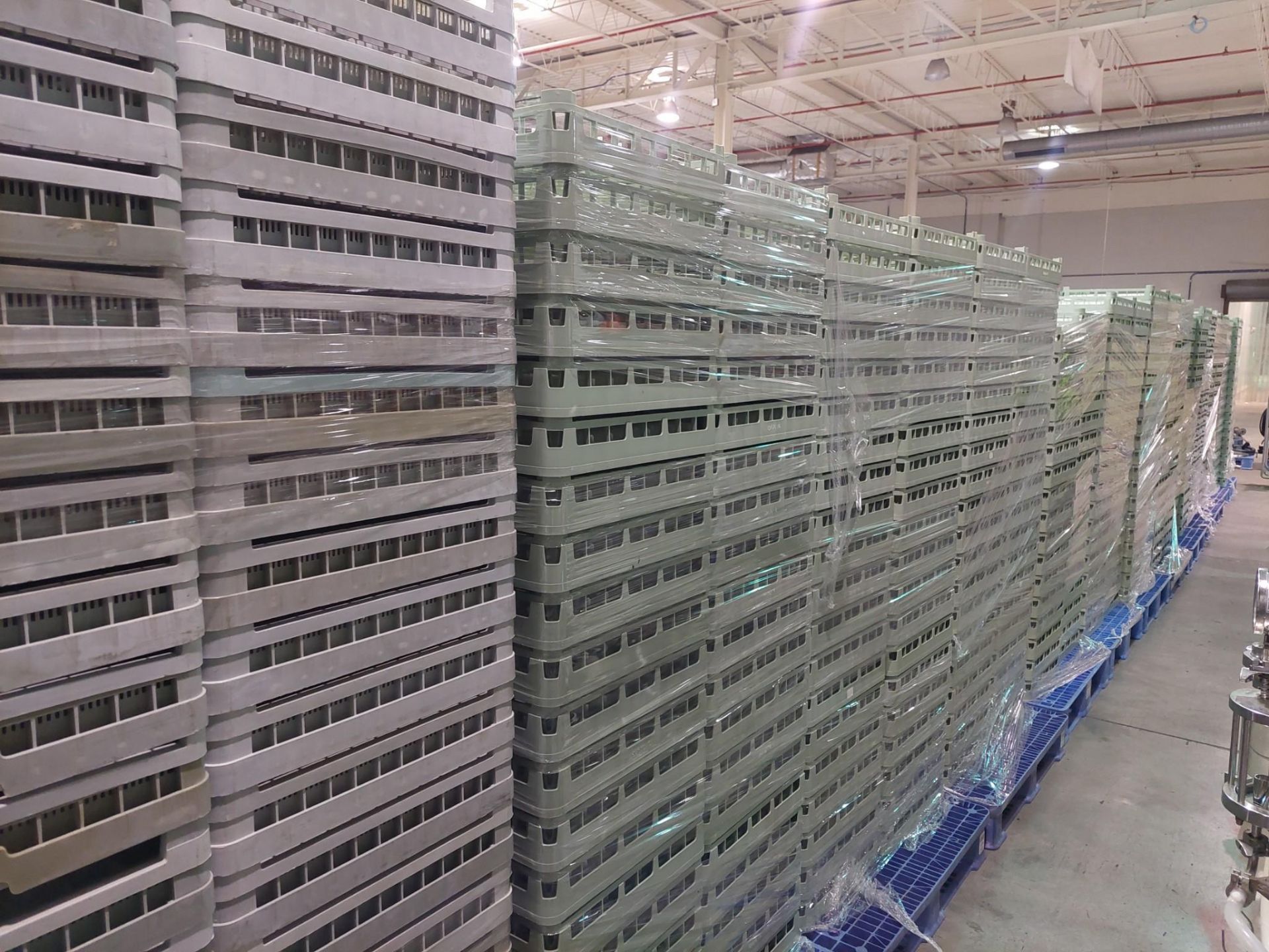 PLASTIC TRAYS APPROX. X14 FULL PALLETS #1 - Image 9 of 9