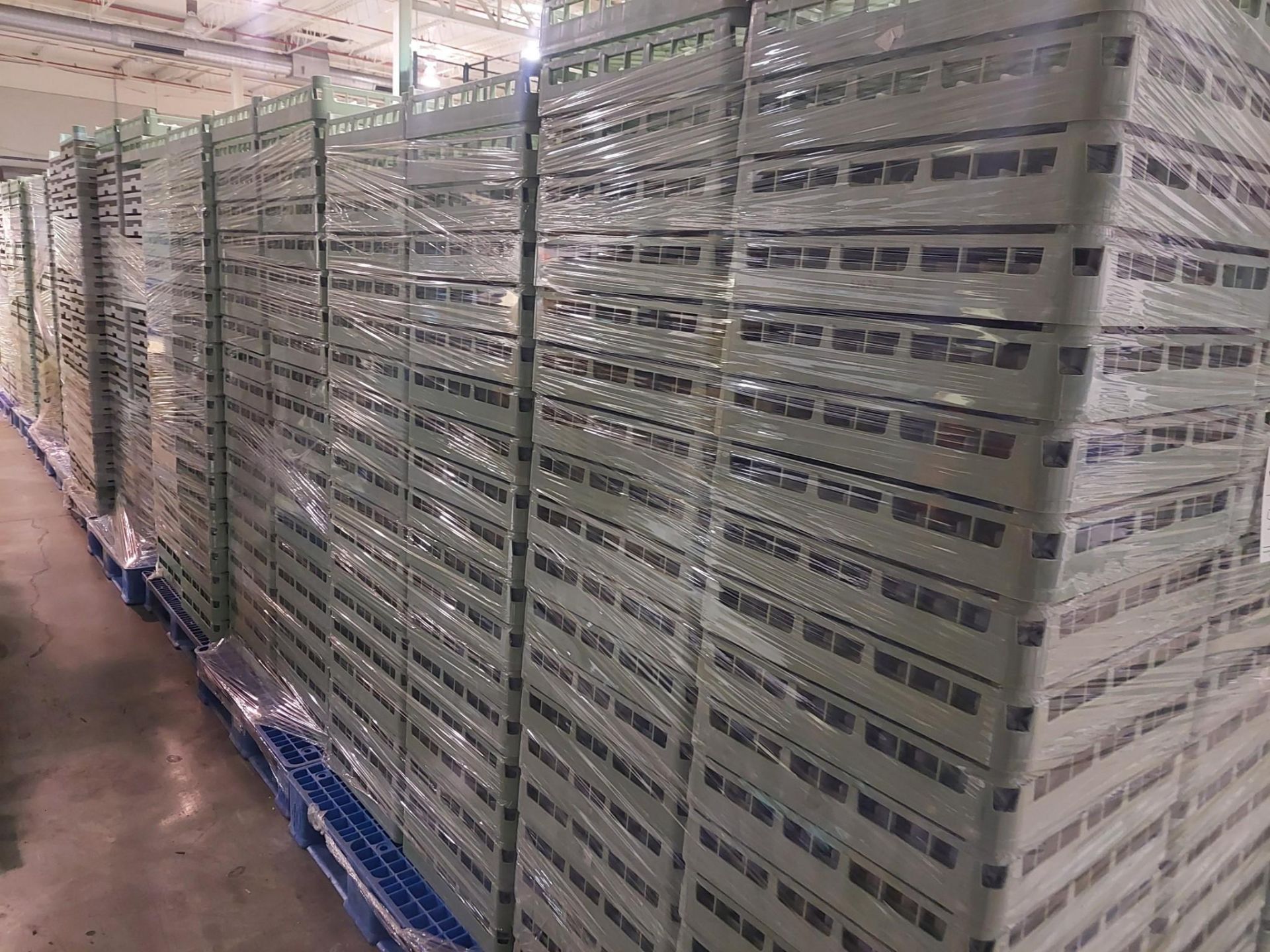 PLASTIC TRAYS APPROX. X12 FULL PALLETS - Image 2 of 6