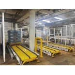 Palletizing Robot System