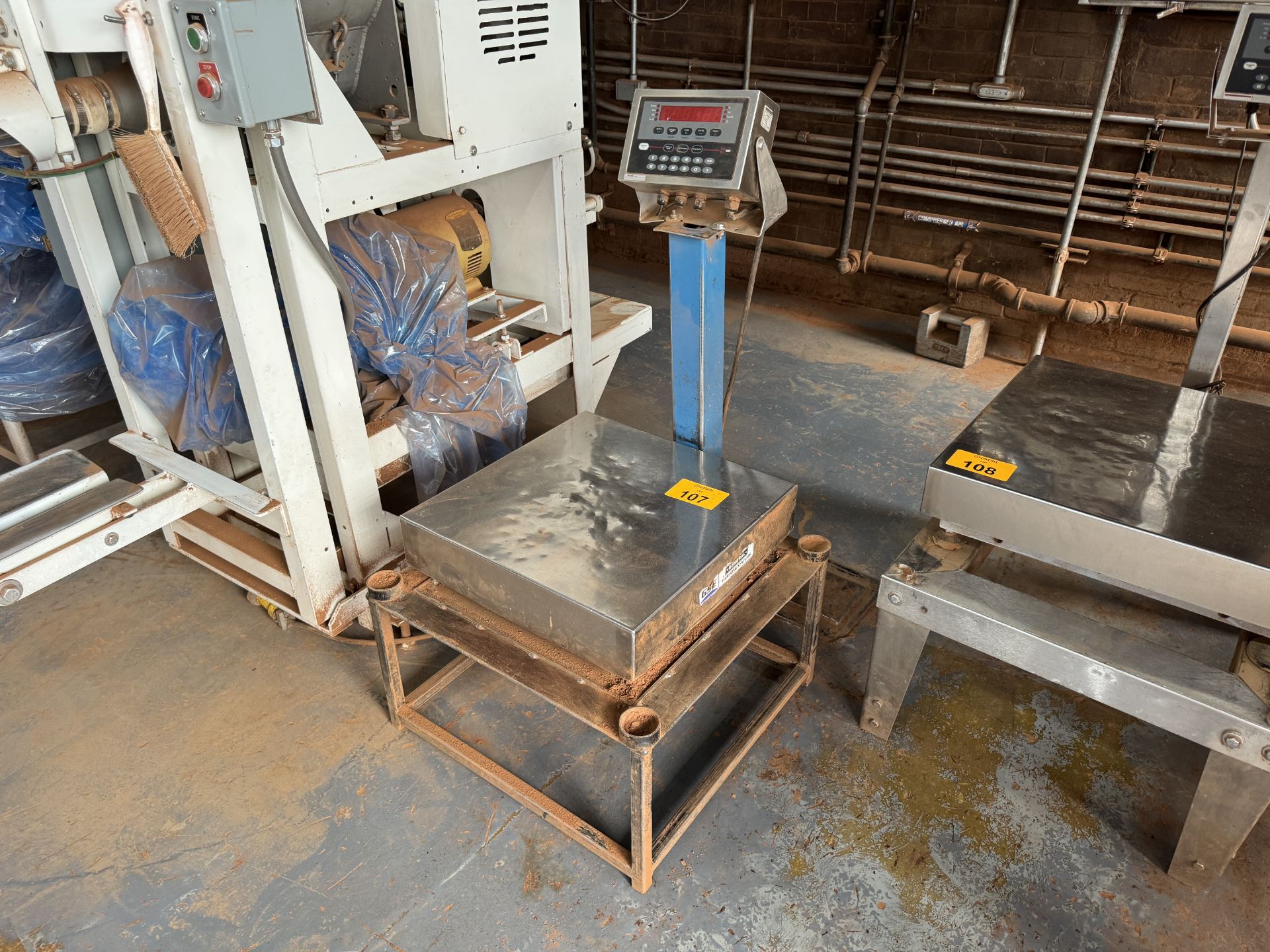 Bench Top Platform Scale