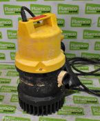 Submersible pump in carry case