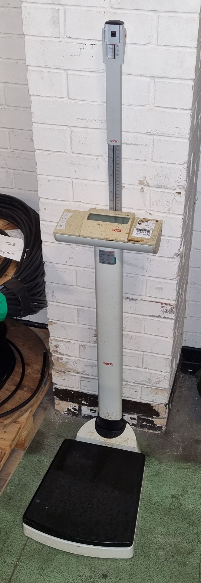 Seca 704 electronic column scale