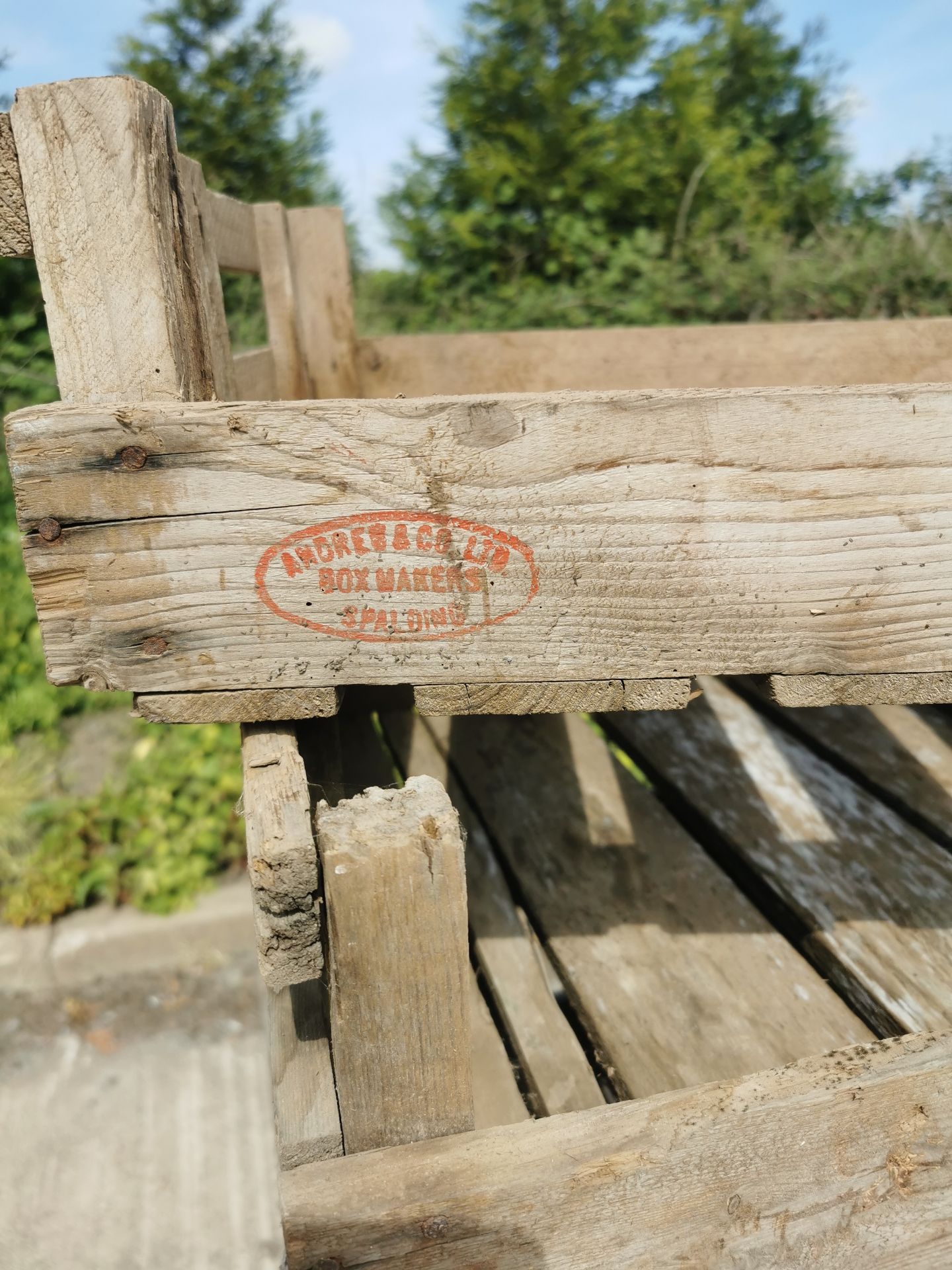 10x Wooden potato chitting trays - W 760 x D 460 x H 160mm - Image 2 of 2