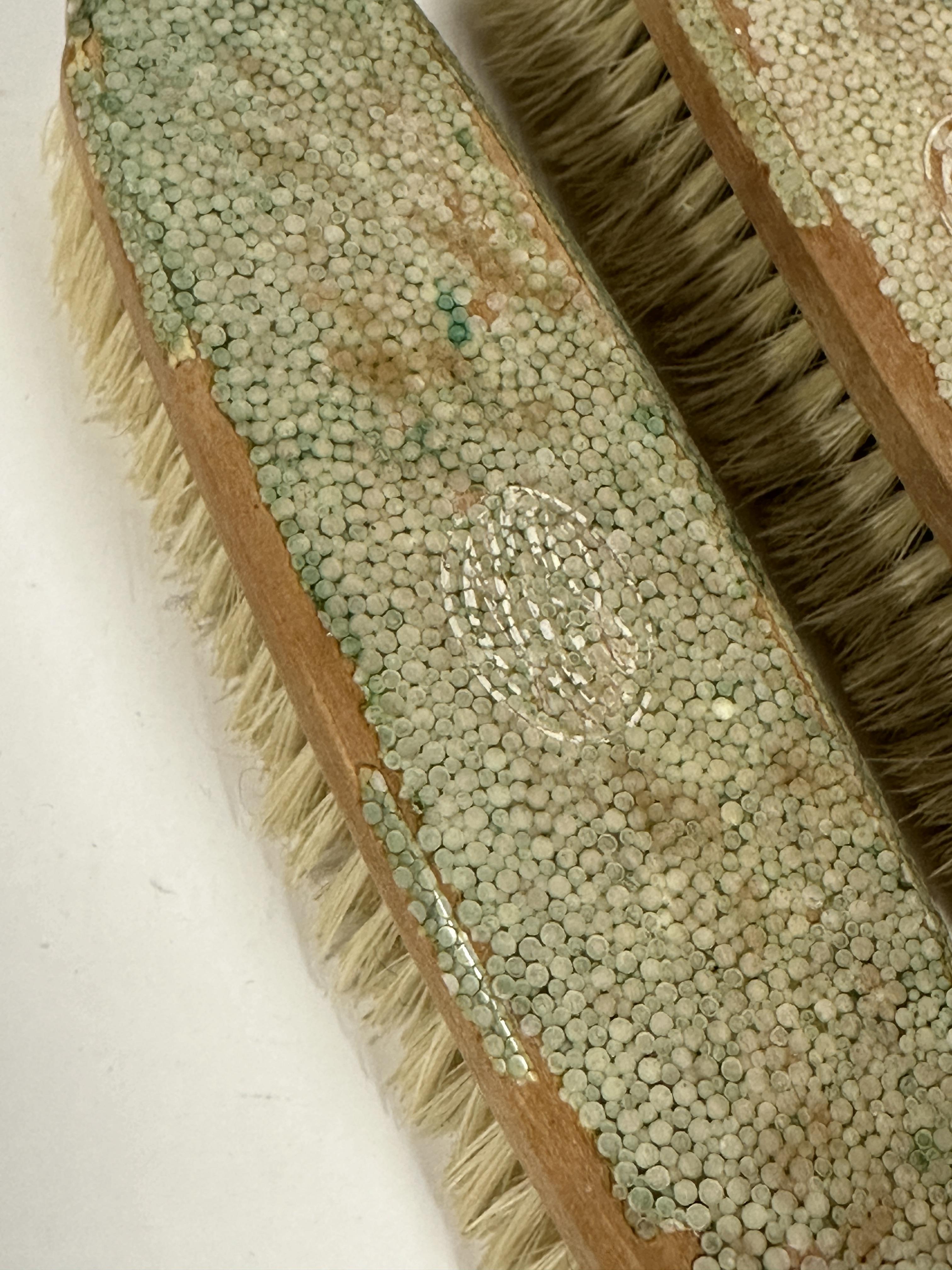 A 1930s shagreen pair of clothes brushes, losses to surfaces of both. (L x 17 cm) - Image 2 of 3