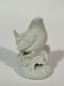 A modern Meissen blanc de chine model of a robin perched on a leaf on circular moulded base, no