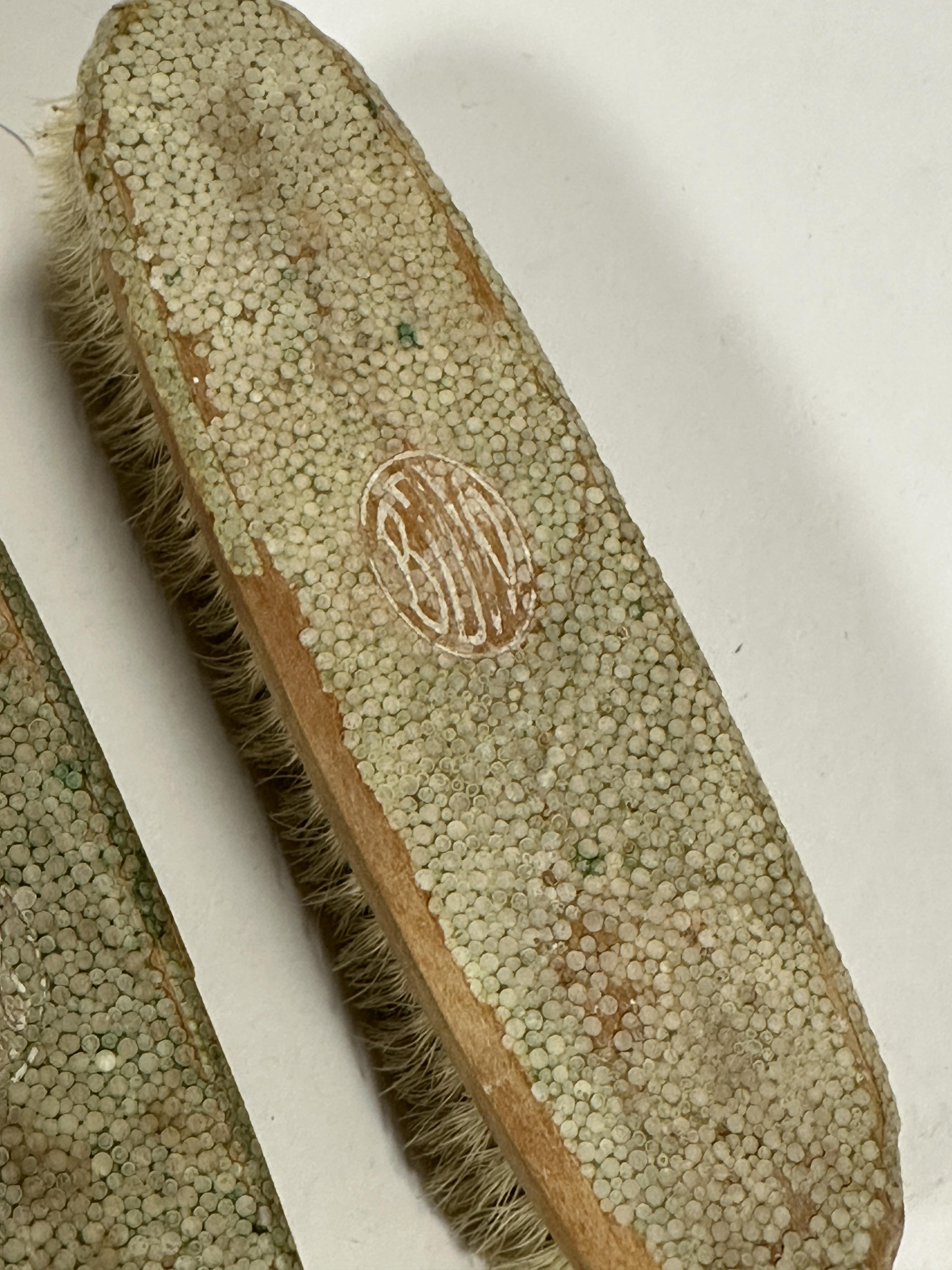 A 1930s shagreen pair of clothes brushes, losses to surfaces of both. (L x 17 cm) - Image 3 of 3