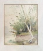 Unknown artist, riverbank scene, watercolour, signed bottom left, in a wooden glazed frame. (