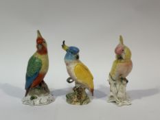 A collection of Cockatoo figures comprising, Karl ENS Volkstedt porcelain figure of a yellow and