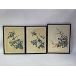 Three framed Chinese watercolours on silk, depicting birds and flowers. (35cmx25cm, 37cmx27cm) (3)