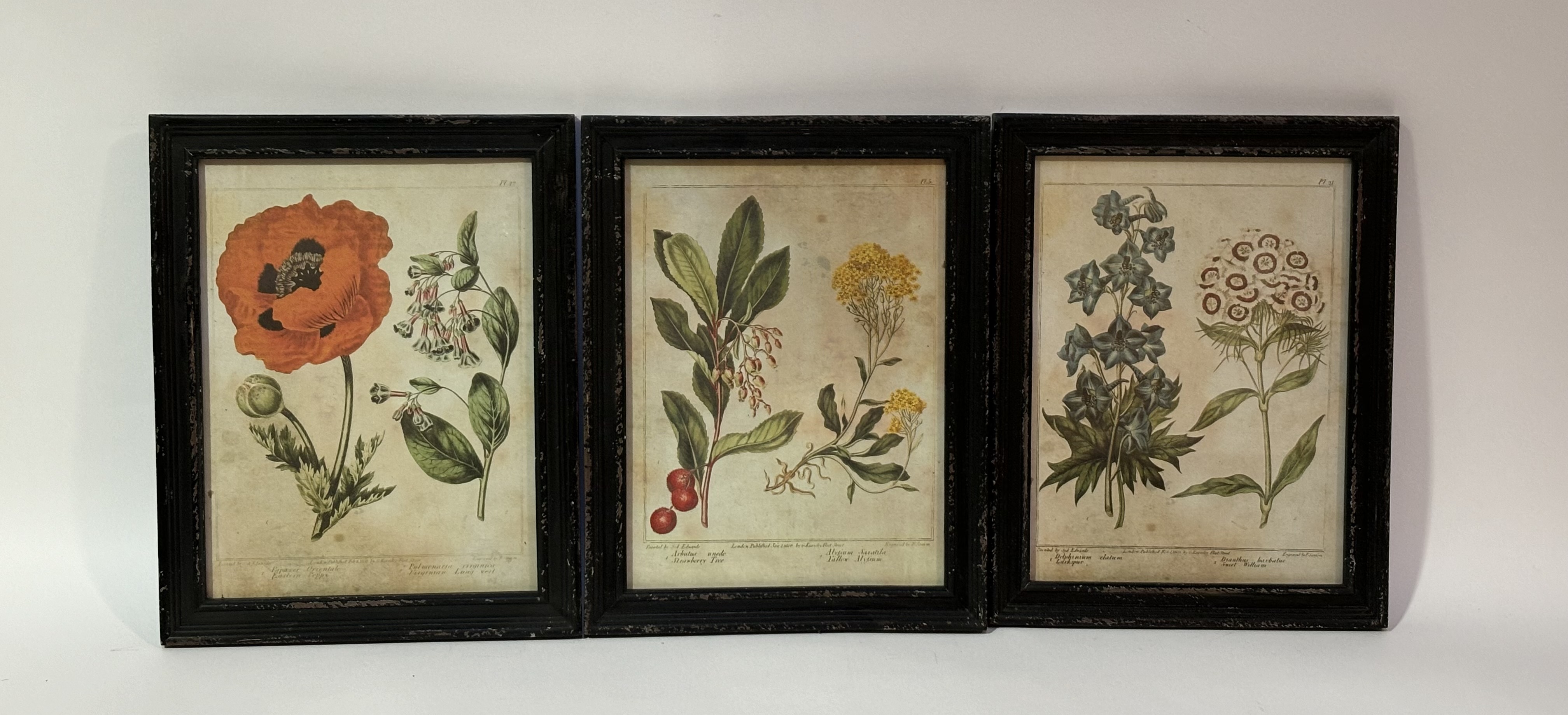 A set of nine Oka, English Garden prints, all framed. (29.5cmx22cm) (9) - Image 2 of 3