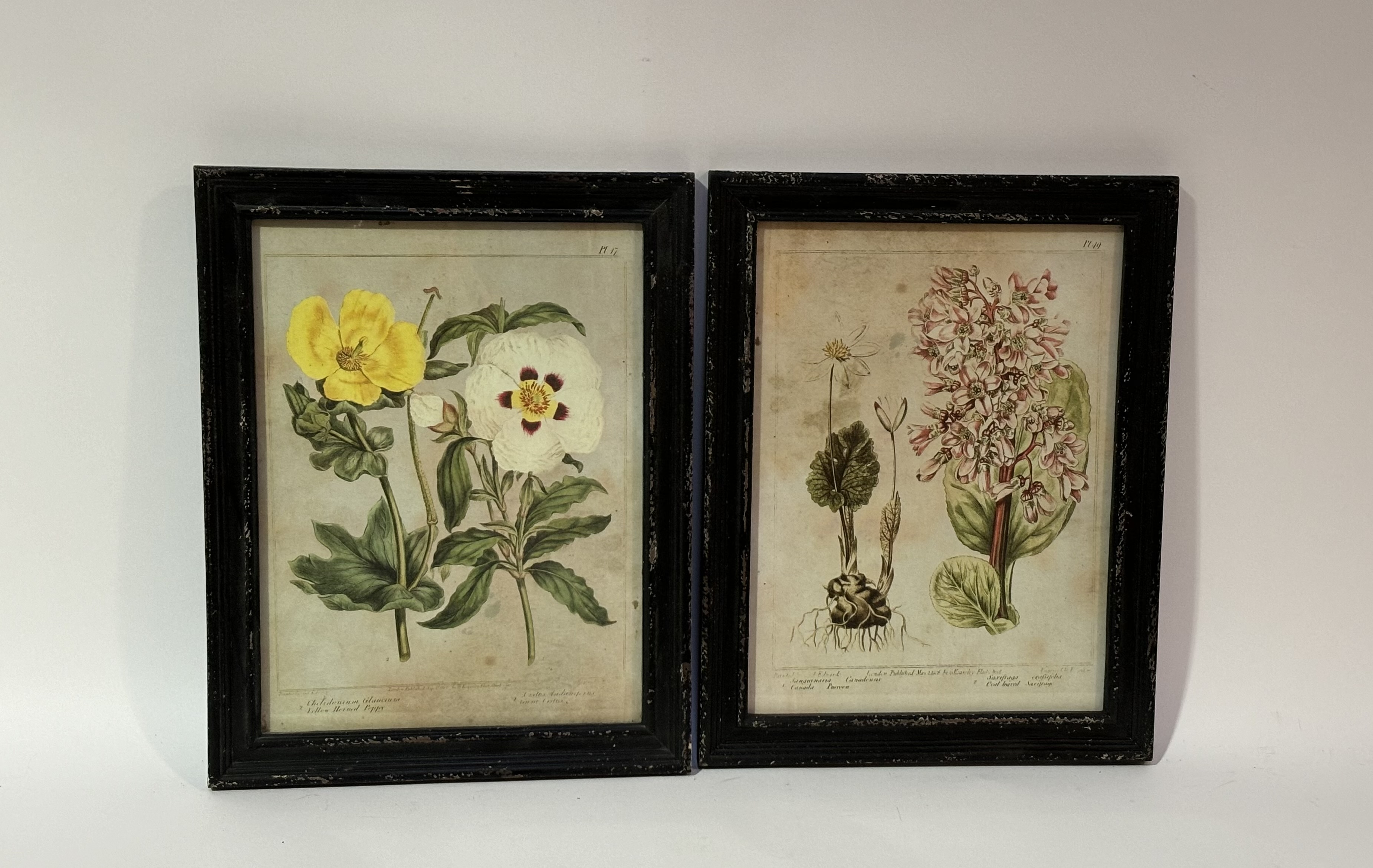 A set of nine Oka, English Garden prints, all framed. (29.5cmx22cm) (9) - Image 3 of 3