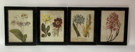 A set of nine Oka, English Garden prints, all framed. (29.5cmx22cm) (9)