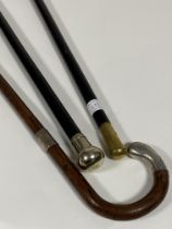 A group of three late 19th  / early 20th century walking sticks, one with hallmarked silver