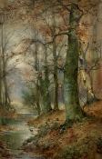 Thomas Taylor Ireland (ACT 1880-1927), Woodland scene, watercolour, signed bottom right, in a gilt
