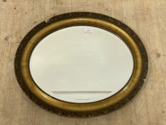 An early 20th century oval gilt composition framed wall mirror with bevelled plate. 63cm x 53cm.