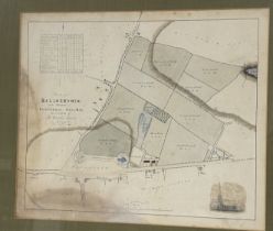 A framed map titled "Part of Ballnehowin in the Parish of Kirk German. Isle of Man, The Property