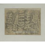 Property of the Late Countess Haig, Richard Box?, A study of Delphinium’s, pencil sketch, signed and