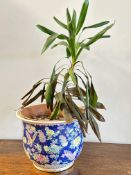 A modern Chinese planter with sea blue ground and all over chrysanthemum decoration no signs of