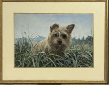 Property of the Late Countess Haig, Claire A.Verity, "Springtime", pastel, signed bottom right,
