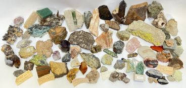 A large quantity of rock/mineral samples and fossils including quartz, petrified wood, shells,