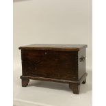 An early 20th century stained pine miniature coffer, hinged lid opening to a plain interior, carry