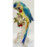 A large brightly glazed Karl Ens decorative parrot modelled perched on a fruiting branch (marked