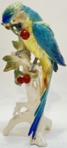 A large brightly glazed Karl Ens decorative parrot modelled perched on a fruiting branch (marked