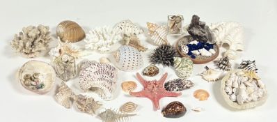 A large collection of decorative seashells, coral, ceramic shells, blue glass pebbles, etc (alot) (