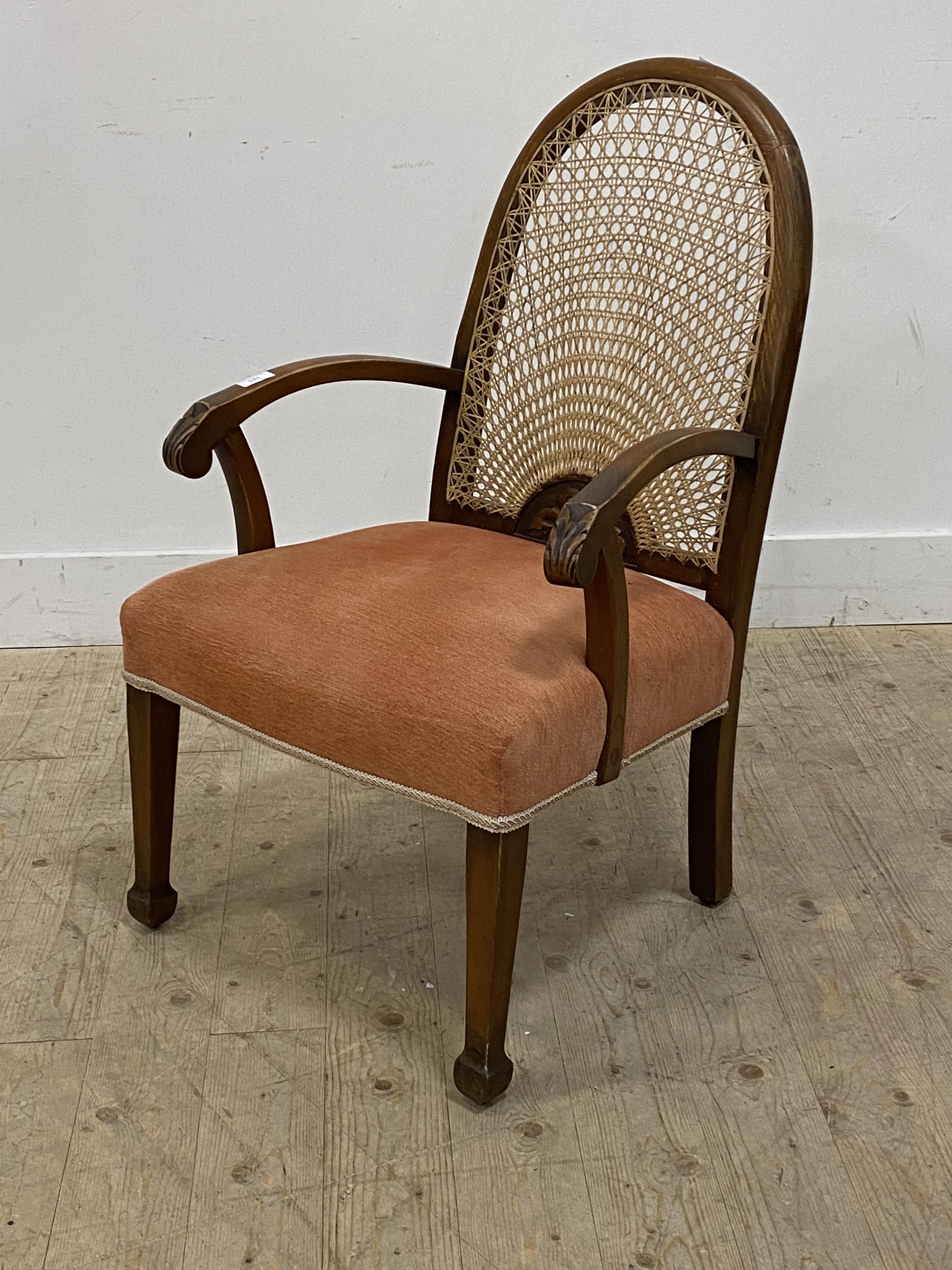 An early 20th century stained beech open armchair, with arched cane panel back above acanthus carved
