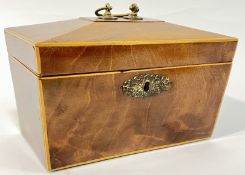 A Georgian sarcophagus form mahogany tea caddy with void interior and later gilt brass handle and