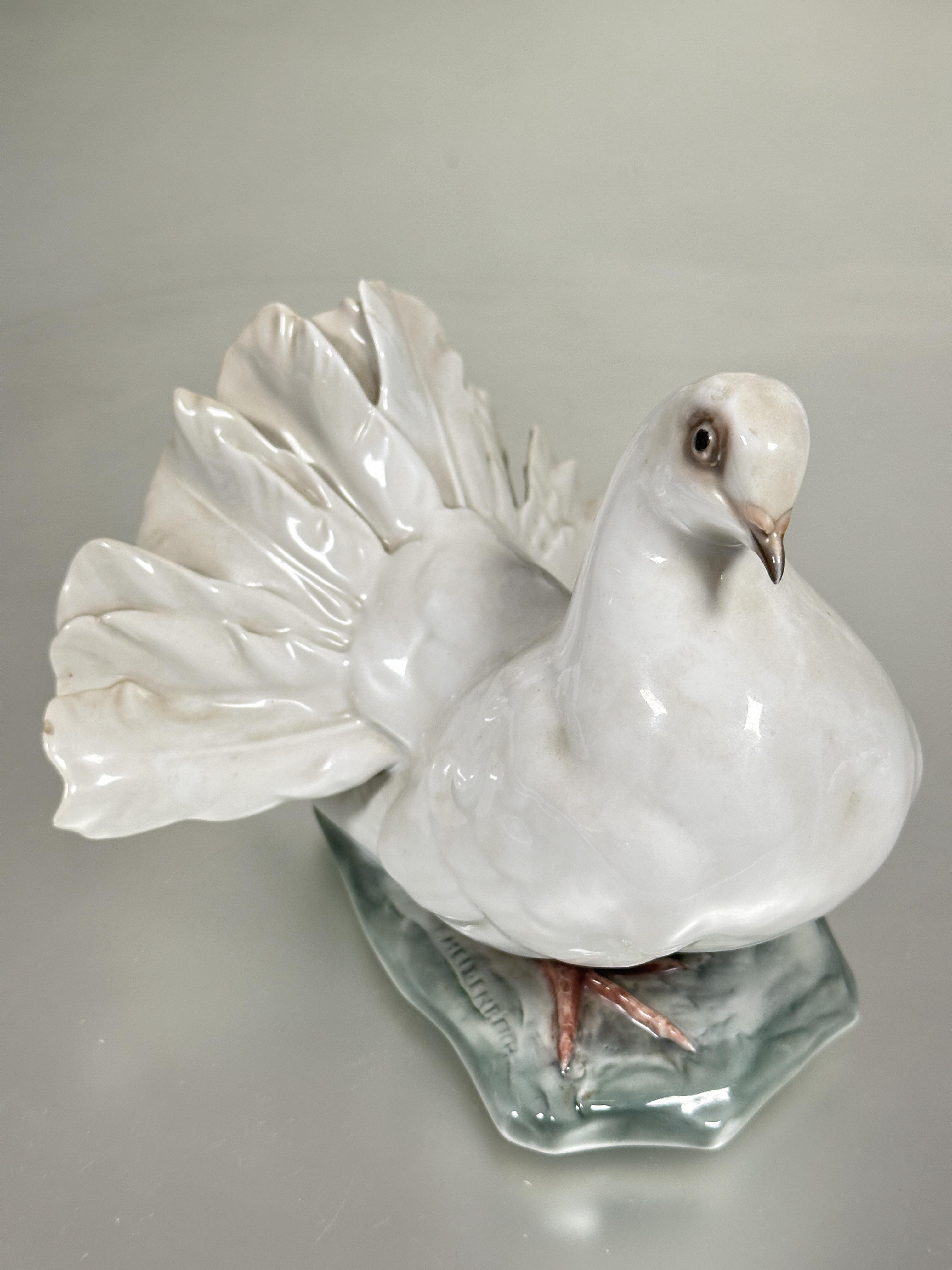 A German Rosenthal porcelain fantail dove figure decorated with polychrome enamels on naturalistic