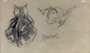 Francis Ernest Jackson (1872-1945), pencil sketches of a seated cat, framed and glazed, the image 16