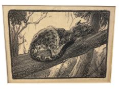 Elsie Henderson (1880-1967) lithograph, Leopard in a tree, image 20 x 30cm, signed and dated 1916, m