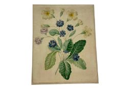 19th / early 20th century watercolour botanical studies, the largest 28 x 22cm. (4)