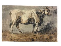 19th century English School, mixed media portrait of a steer, signed with initials, 8 x 13cm, mounte