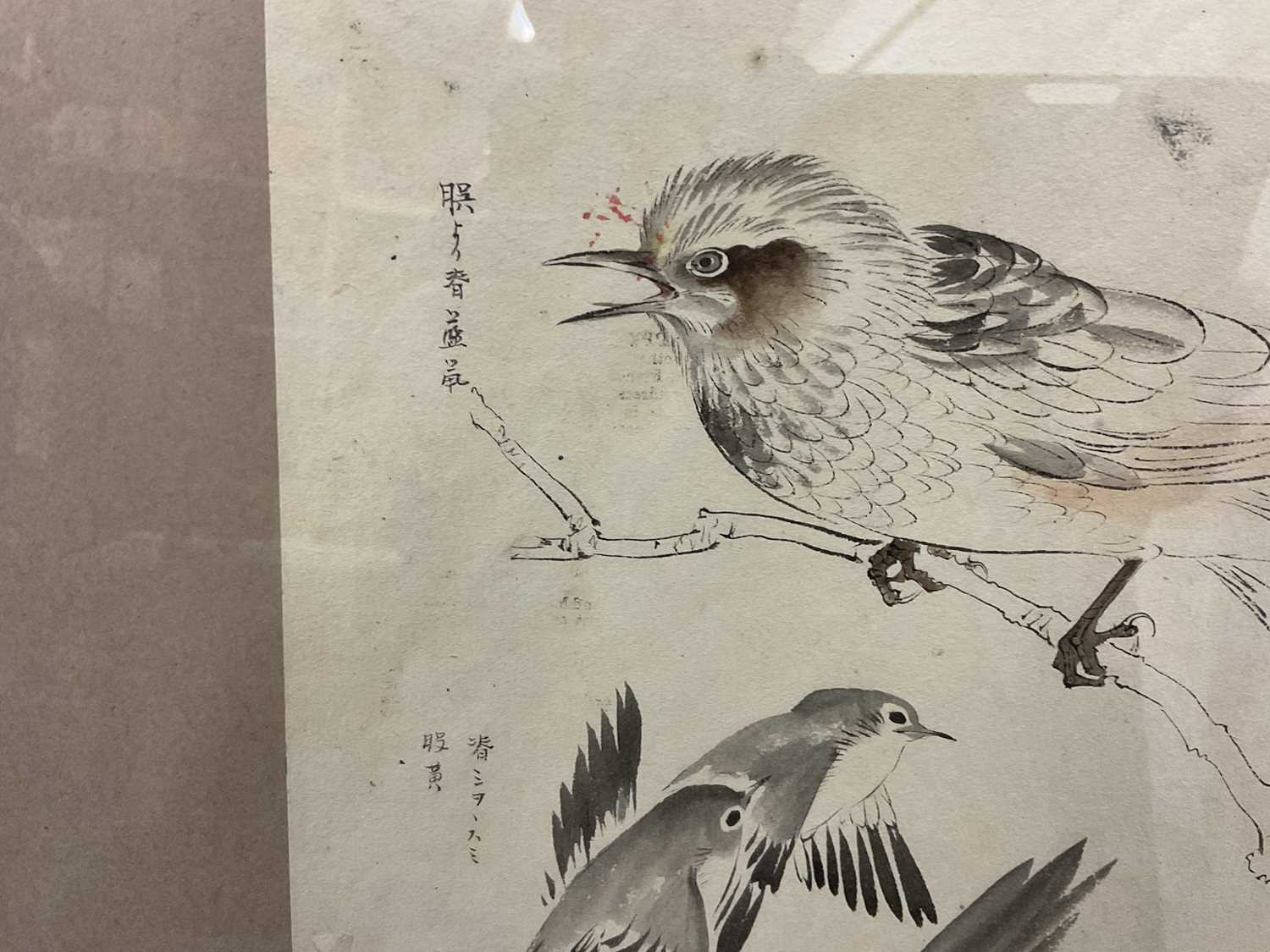 Attributed to Matsumura Keiben (1779-1843) pen and wash, bird studies - Image 4 of 5