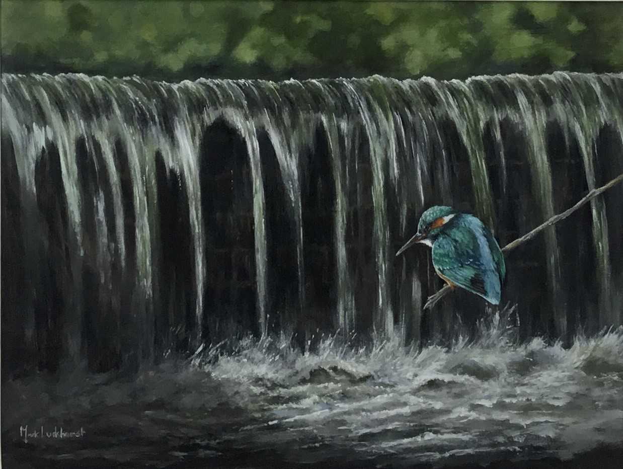 Mark Luckhurst (contemporary) acrylic - Kingfisher on the river Leigh