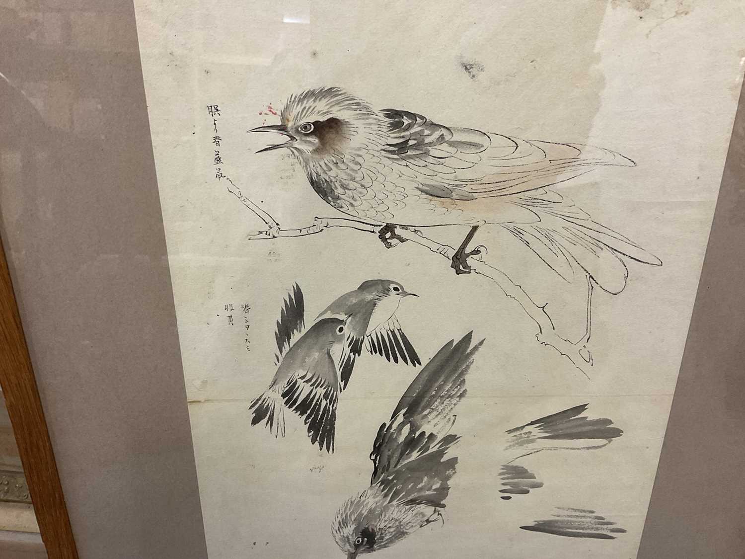 Attributed to Matsumura Keiben (1779-1843) pen and wash, bird studies - Image 3 of 5